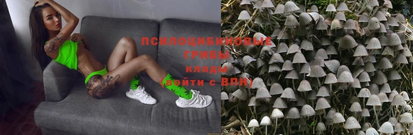 apvp Киренск